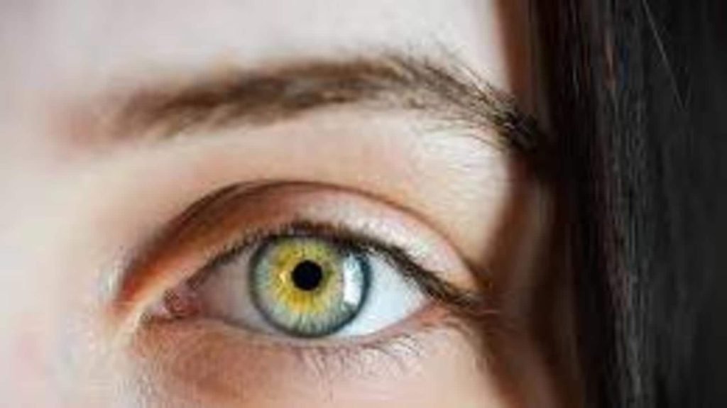 ભમર વધારવા માટે આ 5 ઘરેલું ઉપાય અનુસરો, તમને જલ્દીથી લાભ મળશે आइब्रो को बढ़ाने के लिए अपनाएं ये 5 घरेलू नुस्खे, जल्द मिलेगा फायदा