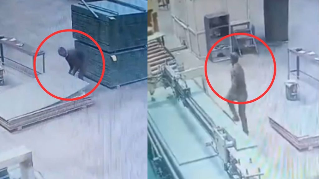 फैक्ट्री में काम कर रहा था शख्स, यमराज बनकर चेहरे पर लगा प्लाई का टुकड़ा, वीडियो में देखें मौके पर कैसे हुई दर्दनाक मौत