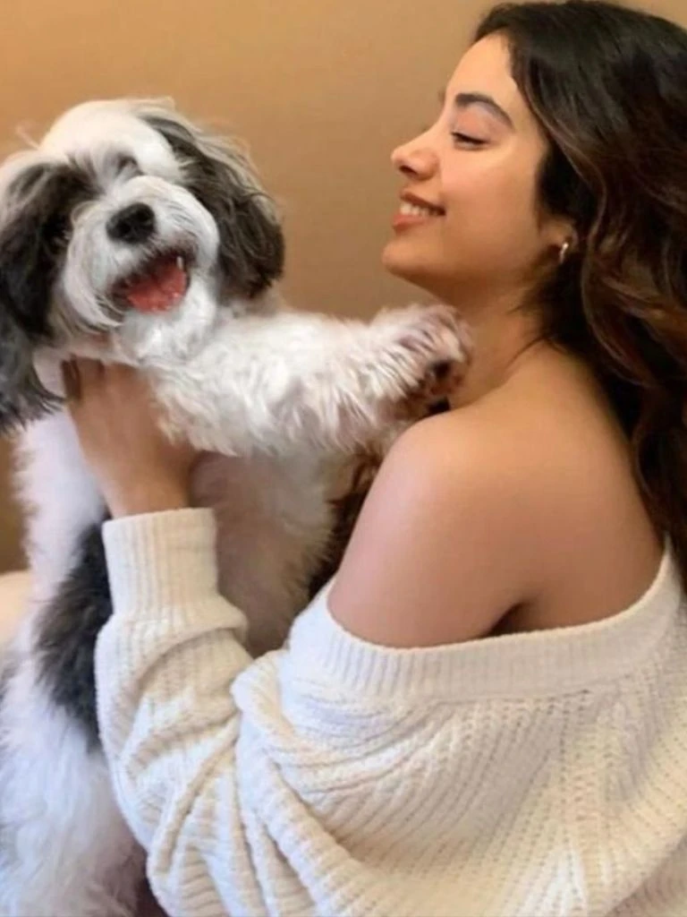 National Pet Day पर बॉलीवुड सेलेब्स ने शेयर किए अपने पेट्स के साथ बिताए प्यारे मोमेंट्स