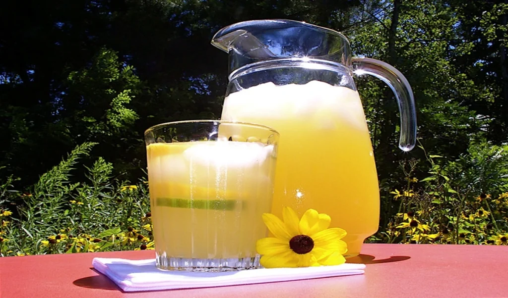 Sattu Sharbat Recipe: गर्मियों में सेहत के लिए वरदान से कम नहीं सत्तू का शरबत, नोट करें बिहारी स्टाइल रेसिपी