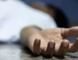 सिरसा में रेबीज से महिला की मौत, 19 दिन पहले आवारा कुत्ते ने काटा था