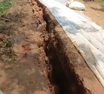 भद्रक में बाढ़ का खतरा मंडराया, बैतरणी नदी का जलस्तर खतरे के पार