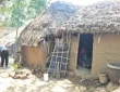 ओडिशा का यह गांव सदियों पुरानी आस्था की परंपरा को कायम रखता है