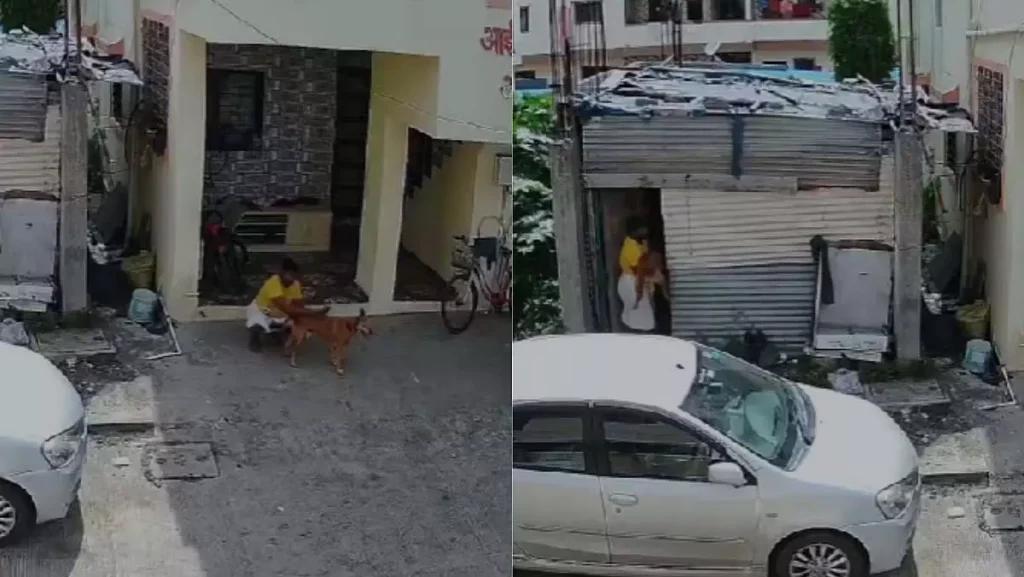 पुणे के टिंगरे नगर में व्यक्ति पर पशु क्रूरता का संगीन आरोप