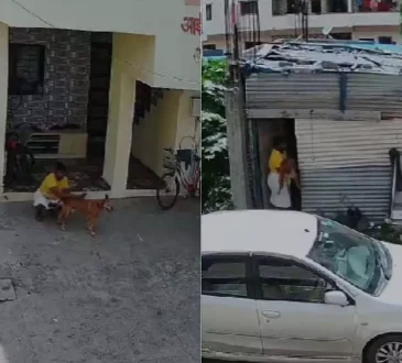 पुणे के टिंगरे नगर में व्यक्ति पर पशु क्रूरता का संगीन आरोप