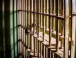 सांसद की सोने की चेन छीनने के आरोप में युवक पुलिस के शिकंजे में