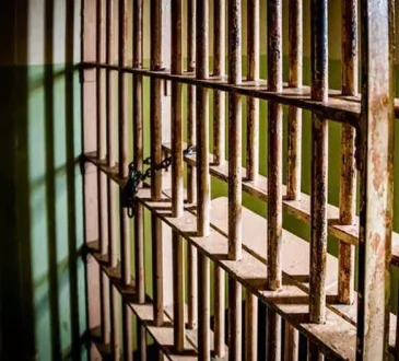 सांसद की सोने की चेन छीनने के आरोप में युवक पुलिस के शिकंजे में