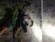 STF की कार्रवाई: कुख्यात गैंगस्टर ढेर, एके-47 समेत कई हथियार जब्त