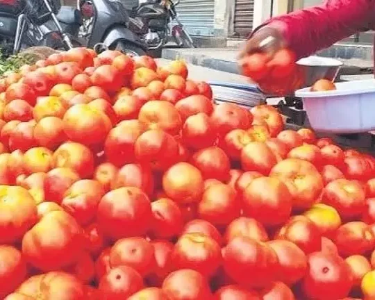 केंद्र ने दिल्ली में टमाटर की कीमतों के लिए भारी बारिश को जिम्मेदार ठहराया