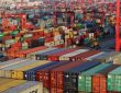 Tiger Logistics share price
