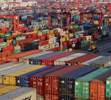 Tiger Logistics share price