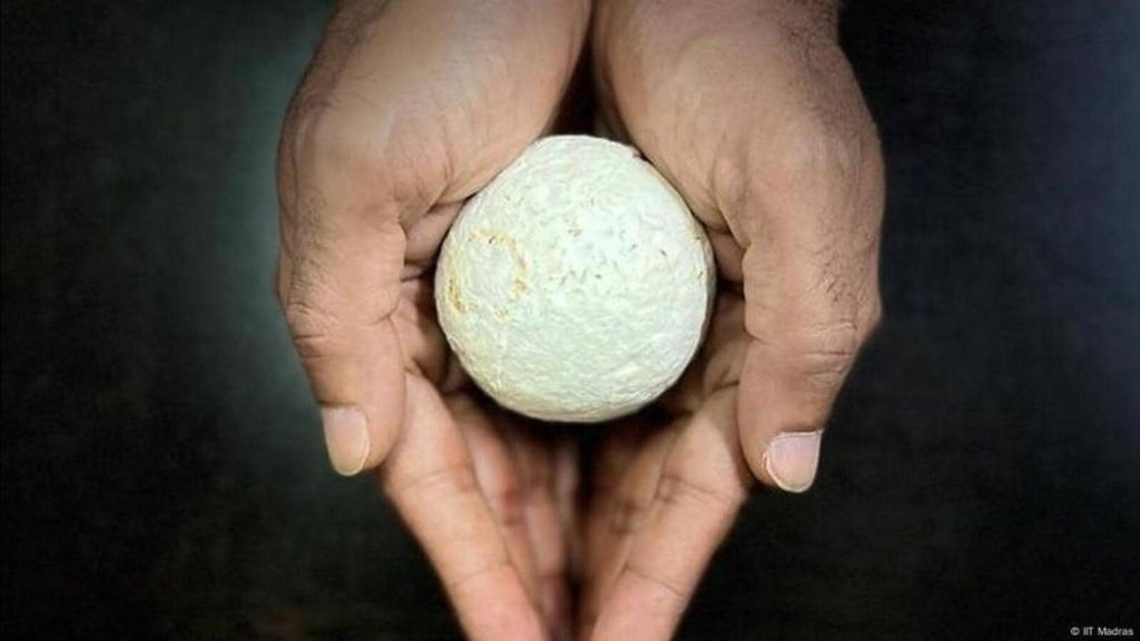 આઈઆઈટી મદ્રાસના સંશોધનકારોએ કૃષિ કચરામાંથી બાયોડિગ્રેડેબલ પેકેજિંગ બનાવ્યું … आईआईटी मद्रास के शोधकर्ताओं ने कृषि कचरे से एक बायोडिग्रेडेबल पैकेजिंग...