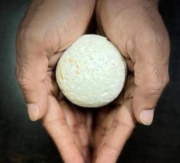 आईआईटी मद्रास के शोधकर्ताओं ने कृषि कचरे से एक बायोडिग्रेडेबल पैकेजिंग...