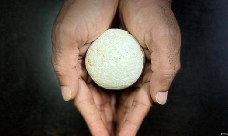 आईआईटी मद्रास के शोधकर्ताओं ने कृषि कचरे से एक बायोडिग्रेडेबल पैकेजिंग...