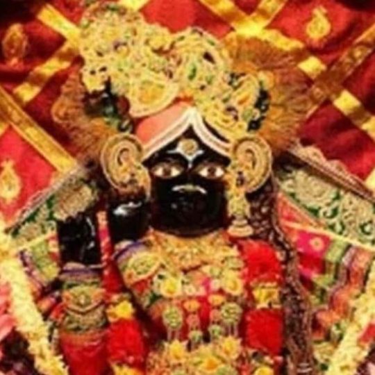 Banke Bihari Temple Vrindavan ठाकुर बांके बिहारी के मंदिर में त्रिदिवसीय जन्माष्टमी...