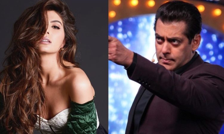 'बिग बॉस 19' में इस बार कंटेस्टेंट के साथ कई एक्स कंटेस्टेंट की एंट्री की भी...