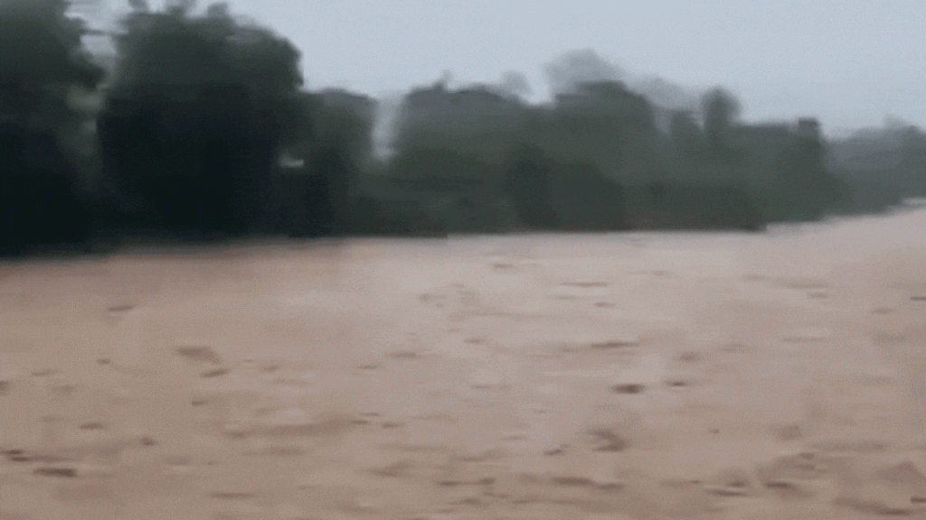 हिमाचल प्रदेश में भारी बारिश से कई जिलों में हालात खराब हो गए हैं। मौसम...