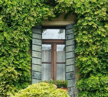 Vastu shastra ke anusar: वास्तु के अनुसार घर के लिए कुछ  पौधे अनलकी होते हैं,इन्हें घर में...