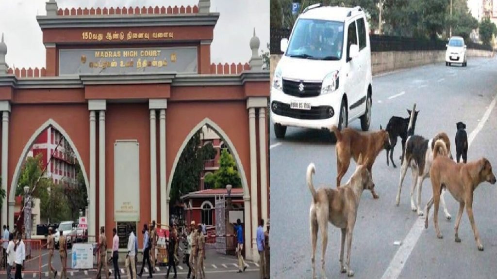 हाई कोर्ट की मदुरई बेंच के समक्ष सुनवाई के दौरान, याचिकाकर्ताओं ने पीठ के...