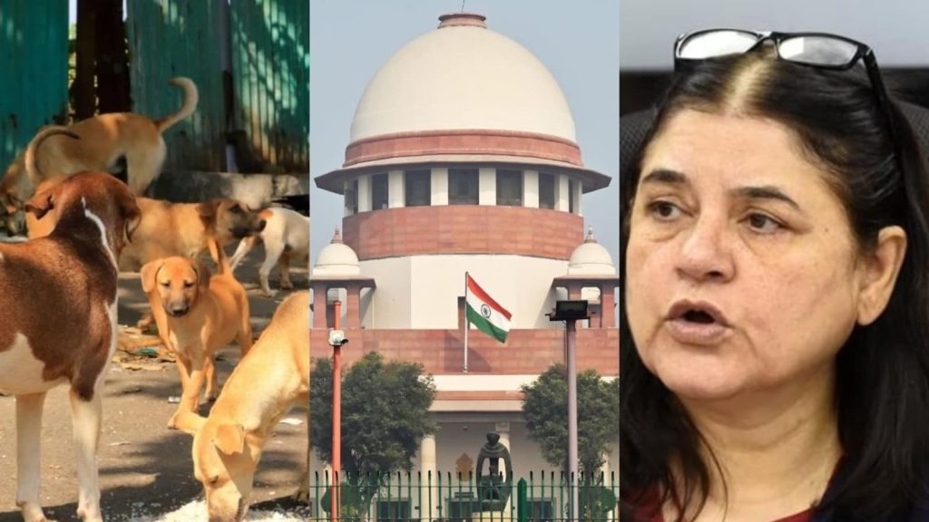 पशु अधिकार कार्यकर्ता और पूर्व केंद्रीय मंत्री मेनका गांधी ने...