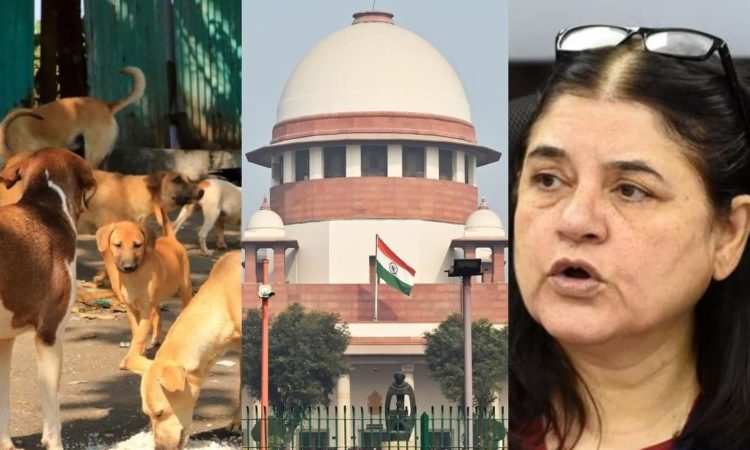 पशु अधिकार कार्यकर्ता और पूर्व केंद्रीय मंत्री मेनका गांधी ने...