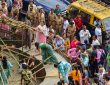 कुछ दिनों पहले हाई कोर्ट ने कहा था कि कबूतरों को दाना देना सार्वजनिक...