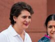 राहुल गांधी ने कहा, 'दिल्ली-एनसीआर से सभी आवारा कुत्तों को हटाने का उच्चतम...