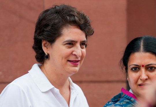 राहुल गांधी ने कहा, 'दिल्ली-एनसीआर से सभी आवारा कुत्तों को हटाने का उच्चतम...