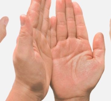 Marriage line in hand: कई व्यक्ति को हाथ में एक या एक से अधिक विवाह रेखाएं होती हैं। जानें...