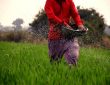 Farmer Union Protest Threat: ખેડૂતોએ કહ્યું ‘ખાતર નથી’, વિભાગ કહે છે ‘ પૂરતો સ્ટોક છે’ – કોના પર વિશ્વાસ કરવો?