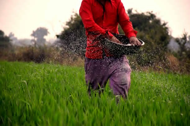 Farmer Union Protest Threat: ખેડૂતોએ કહ્યું ‘ખાતર નથી’, વિભાગ કહે છે ‘ પૂરતો સ્ટોક છે’ – કોના પર વિશ્વાસ કરવો?