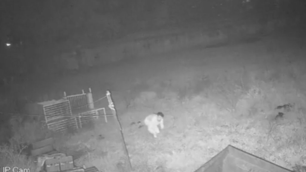 वीडियो में दिख रहा है कि चोर पिछले दरवाज़े से घर में घुसा और कोठी घर की तरफ...