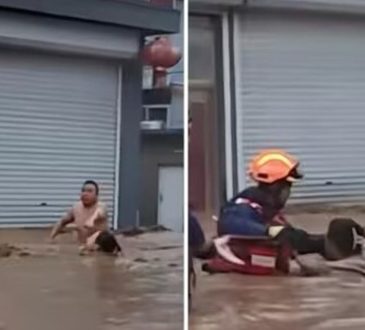 चीन में भयंकर बाढ़ के बीच एक कपल का इमोशनल वीडियो सामने आया है। यहां एक कपल...