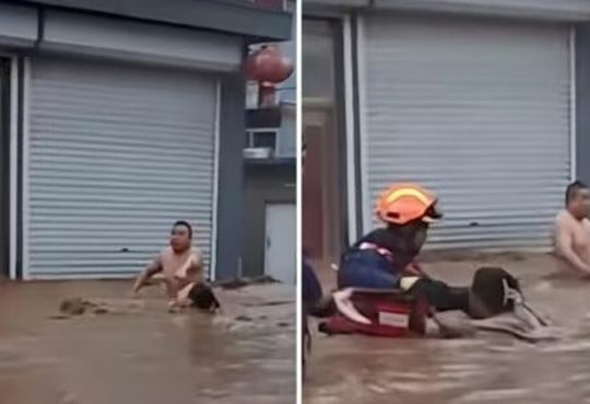 चीन में भयंकर बाढ़ के बीच एक कपल का इमोशनल वीडियो सामने आया है। यहां एक कपल...