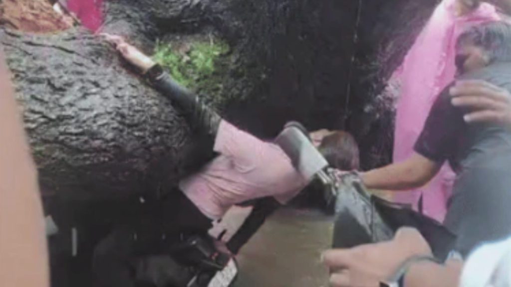 प्रत्यक्षदशिर्यों ने बताया कि पिता की मौके पर ही मौत हो गई और बेटी गंभीर...