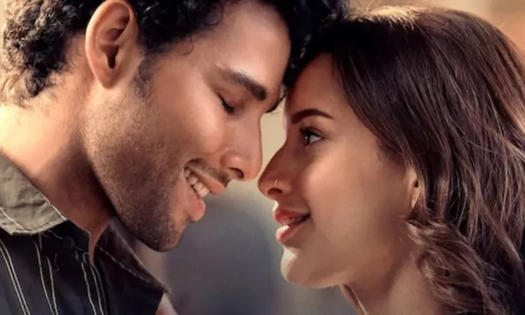 Dhadak 2 Box Office Collection