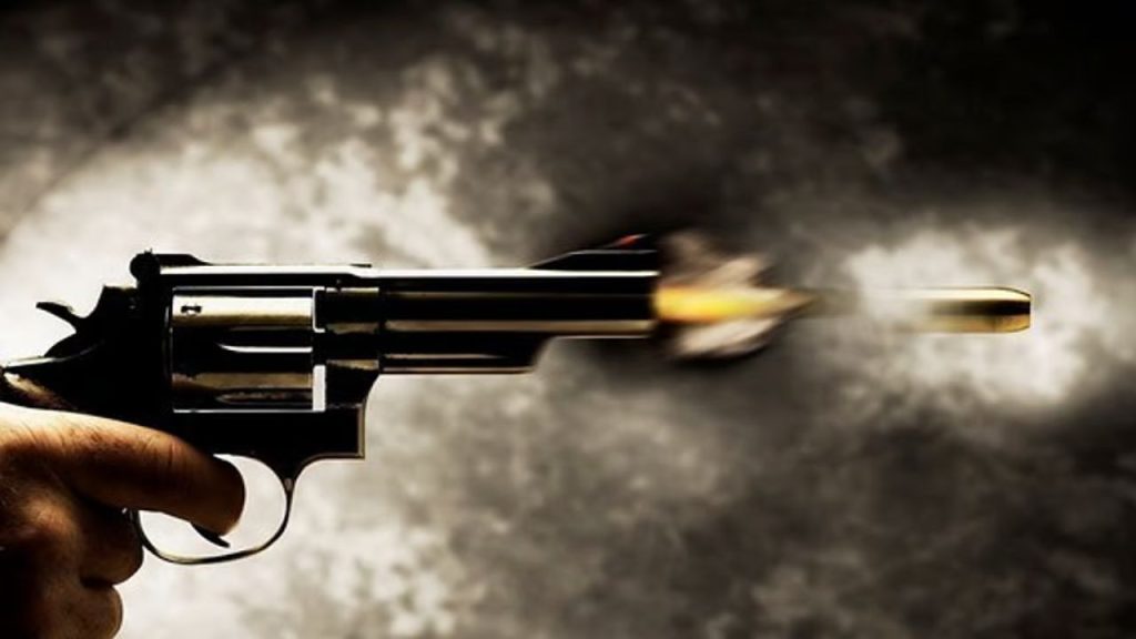 Dwarka Firing: दिल्ली के द्वारका में सोमवार शाम मोटरसाइकिल सवार अज्ञात लोगों...