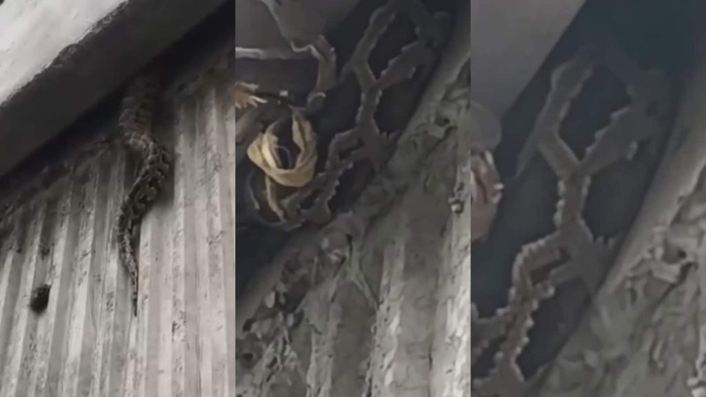 ફેરીદાબાદના સેક્ટર -17 માં ડીએનડી-કેએમપી એક્સપ્રેસ વે ફ્લાયઓવર … फरीदाबाद के सेक्टर-17 में डीएनडी-केएमपी एक्सप्रेसवे फ्लाईओवर की मुड़ेर पर...