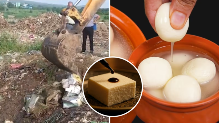 2100 કિલો ઝેરી ચીઝ, રાસગુલ્લા ખાડામાં દફનાવવામાં આવેલા 44000 કિલો, કેન્સર પ્લેટમાં આવવાનું હતું, નકલી 5 … fda seized 2100 kg fake paneer and 44000 kg rasgulla in jk fssai told easy way to check purity of paneer at home