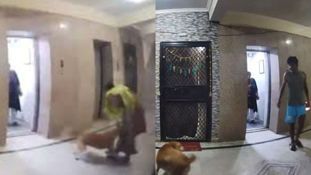 गाजियाबाद की एक सोसाइटी में पालतू डॉग ने महिला पर हमला कर घायल कर दिया. CCTV...