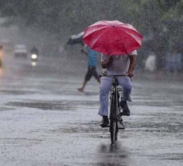 हरियाणा में मानसून का जोर अभी थमने वाला नहीं है. मौसम विभाग के अनुसार राज्य...