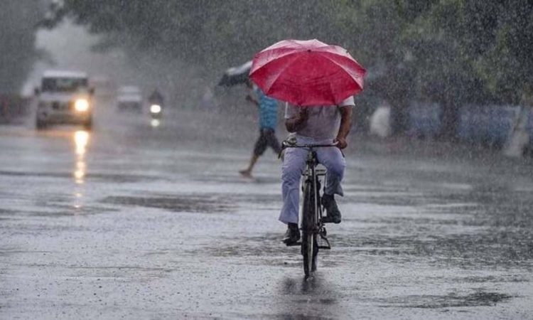 हरियाणा में मानसून का जोर अभी थमने वाला नहीं है. मौसम विभाग के अनुसार राज्य...