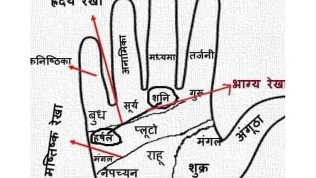 Palmistry in Hindi: हाथों की रेखाओं से किसी भी व्यक्ति की कुंडली देखे बिना उसके बारे...