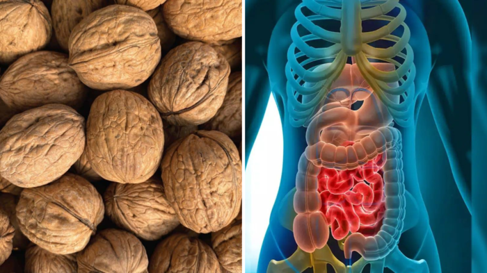 in a study published in ncbi researchers claim eat 5 walnuts daily to reduce colon cancer naturally know best ways to consume