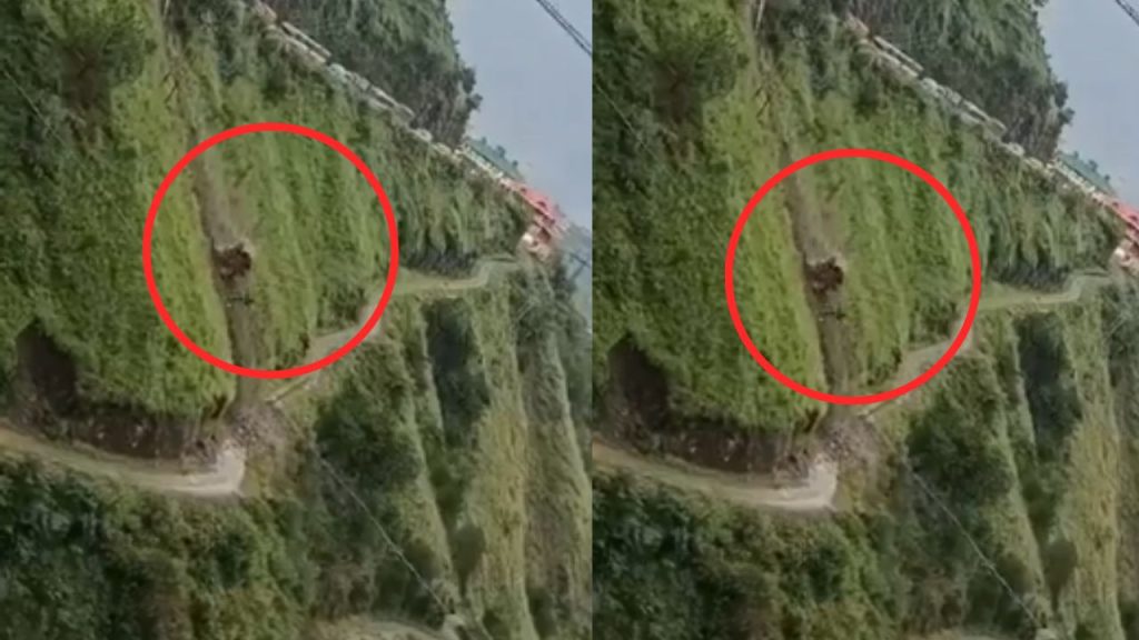 हिमाचल प्रदेश के शिमला जिले के कुमारसैन क्षेत्र में भराड़ा के पास एक...