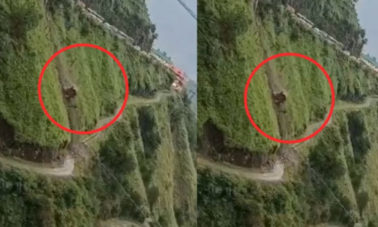 हिमाचल प्रदेश के शिमला जिले के कुमारसैन क्षेत्र में भराड़ा के पास एक...