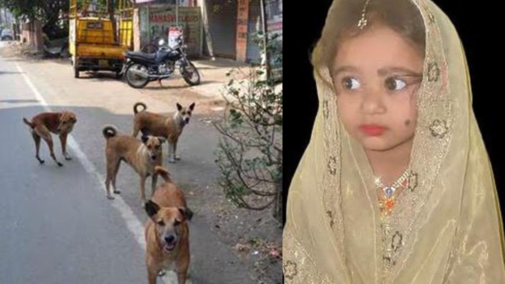 कर्नाटक के दावणगेरे में आवारा कुत्ते के काटने की वजह से चार साल की बच्ची की...