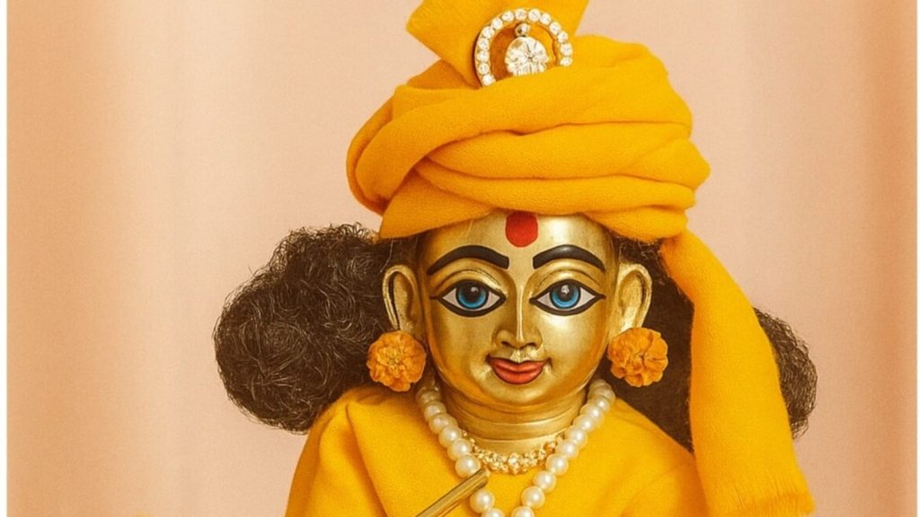 Laddu Gopal Sleeping Time: जन्माष्टमी के दिन शुभ मुहूर्त में ही सारी चीजें करें। साथ ही कई...