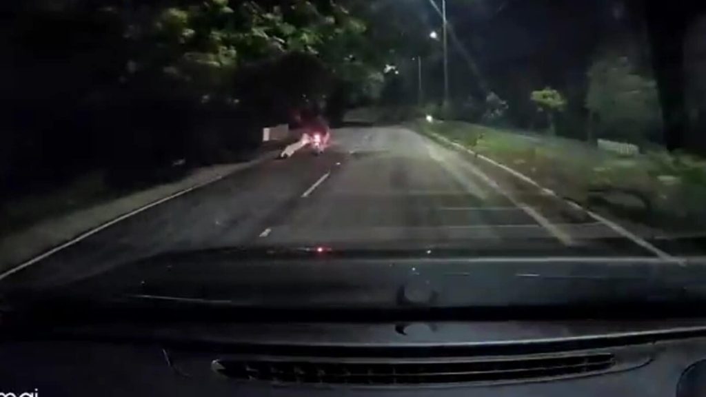 આ પહેલી ઘટના નથી. અલીપિરી વ walk ક રૂટ, જંગલ ટ્રેઇલ્સ અને યુનિવર્સિટી … यह कोई पहली घटना नहीं है। अलिपिरी पैदल मार्ग, जंगल ट्रेल्स और यूनिवर्सिटी...