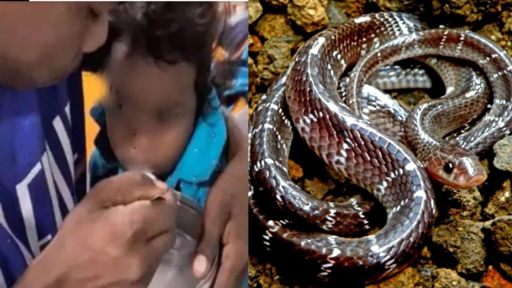 આ છોકરીએ સોહાગપુરના પીપરીયા ગામની કંચન કોલ નામની દાદીની બાજુમાં … सोहागपुर के पिपरिया गांव की कंचन कोल नाम की यह बच्ची अपनी दादी के बगल में...